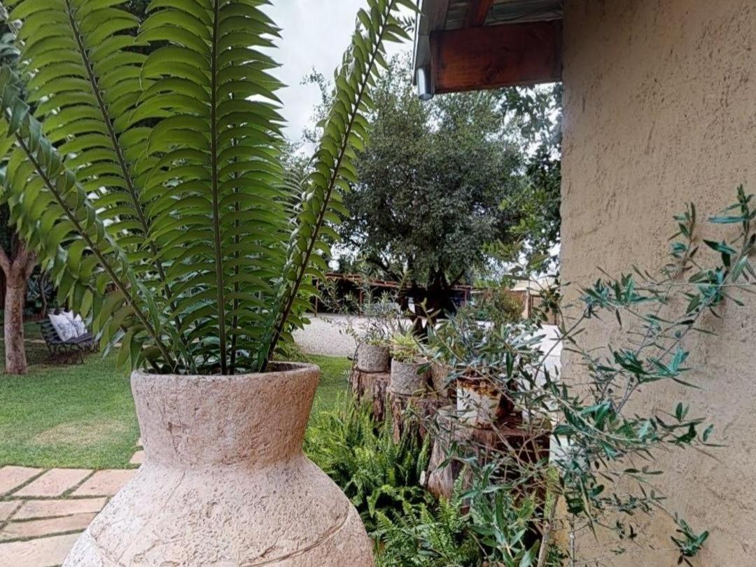 Cradle Valley Boutique Guesthouse Muldersdrift Eksteriør billede